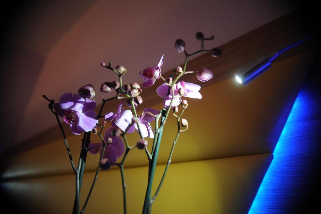 Ostia Antica Suite B&B Phòng bức ảnh